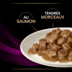 PURINA PRO PLAN Ppvd Feline UR Stox Urinary Salmon Sachet Repas -Vetoavenue ppvd feline ur stox urinary salmon sachet repas 7