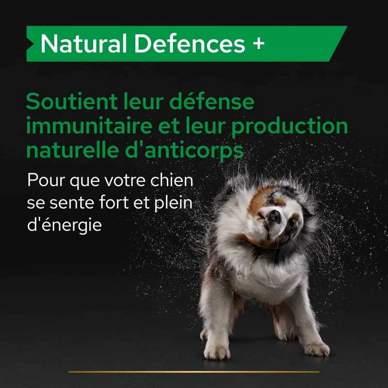 PURINA PRO PLAN Pro Plan Natural Defences + Chien 11 PURINA PRO PLAN Pro Plan Natural Defences + Chien – Image 11