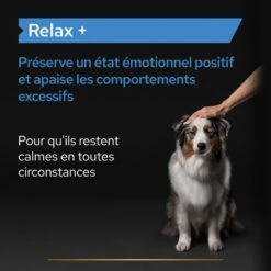 PURINA PRO PLAN Pro Plan Relax + Chien 21 PURINA PRO PLAN Pro Plan Relax + Chien -Vetoavenue pro plan relax chien 9
