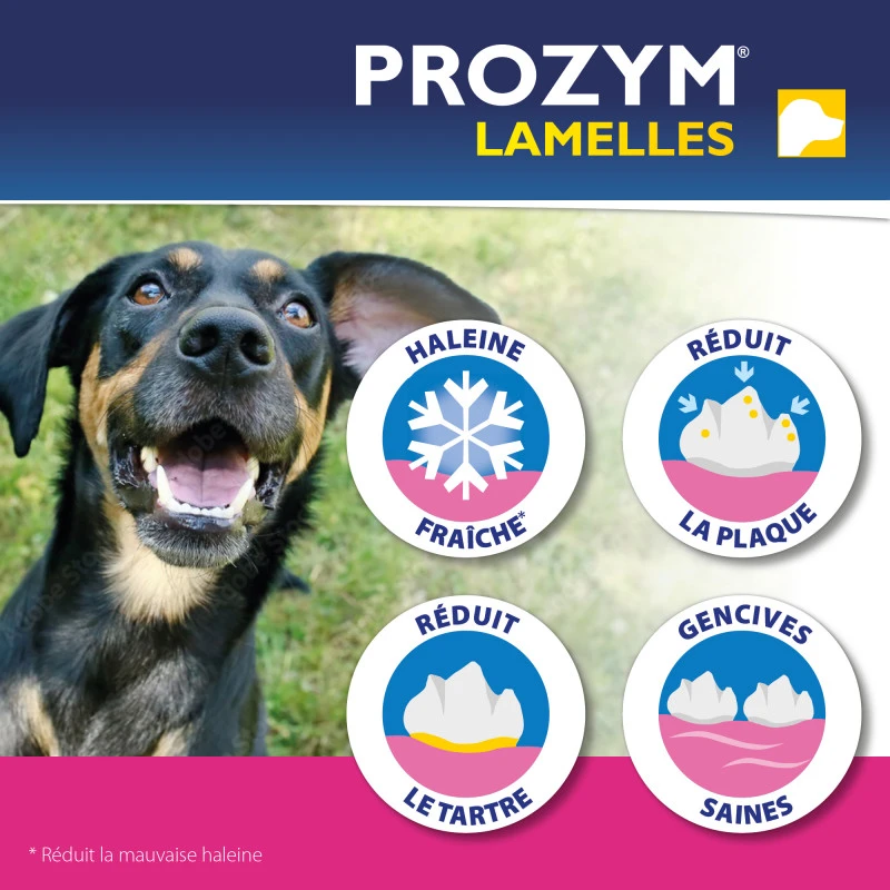 CEVA Prozym Chien Lamelles à Mâcher 3 CEVA Prozym Chien Lamelles à Mâcher – Image 3