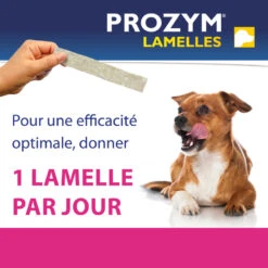 CEVA Prozym Chien Lamelles à Mâcher 12 CEVA Prozym Chien Lamelles à Mâcher -Vetoavenue prozym chien lamelles a macher 4