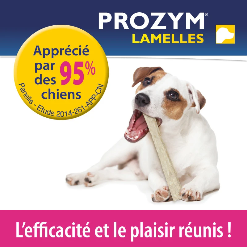 CEVA Prozym Chien Lamelles à Mâcher 6 CEVA Prozym Chien Lamelles à Mâcher – Image 6