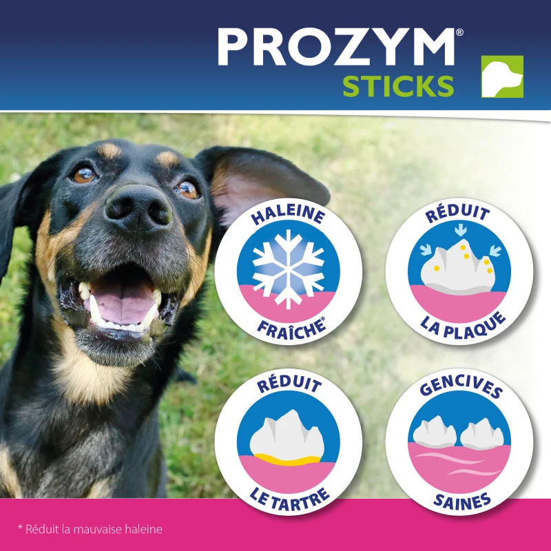 CEVA Prozym RF2 Sticks à Mâcher 3 CEVA Prozym RF2 Sticks à Mâcher – Image 3