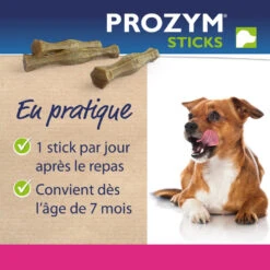 CEVA Prozym RF2 Sticks à Mâcher 15 CEVA Prozym RF2 Sticks à Mâcher -Vetoavenue prozym rf2 sticks a macher 6