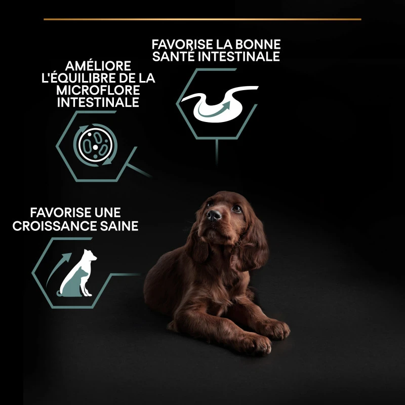 PURINA PRO PLAN Dog Large Athletic Puppy Sensitive Digestion 14 PURINA PRO PLAN Dog Large Athletic Puppy Sensitive Digestion – Image 14