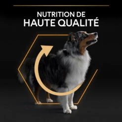PURINA PRO PLAN Dog Medium Adult Chicken Optibalance -Vetoavenue purina dog medium adult chicken optibalance 15
