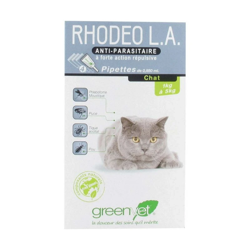 Rhodeo L.A. Chat 1 Rhodeo L.A. Chat