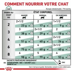 ROYAL CANIN Cat Diabetic Sachet Repas 13 ROYAL CANIN Cat Diabetic Sachet Repas -Vetoavenue royal canin cat diabetic sachet repas 5