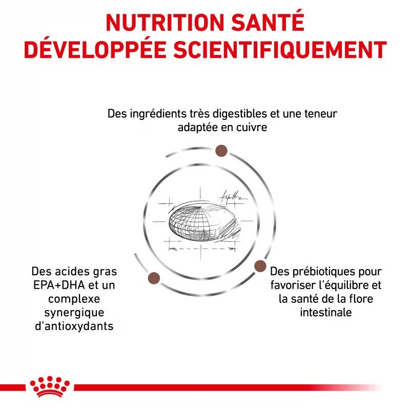ROYAL CANIN Cat Hepatic 3 ROYAL CANIN Cat Hepatic – Image 3