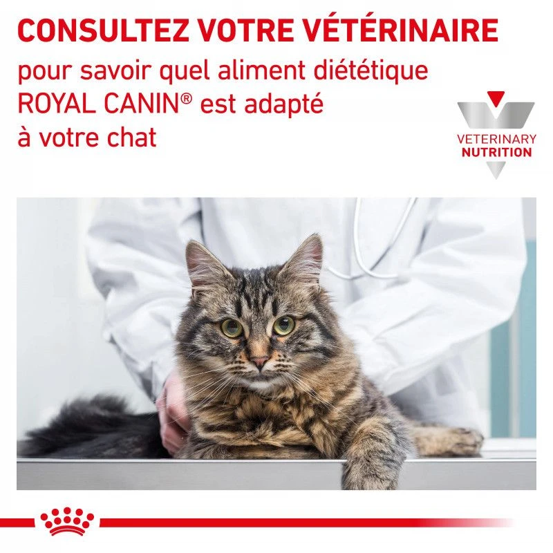 ROYAL CANIN Cat Hepatic 8 ROYAL CANIN Cat Hepatic – Image 8
