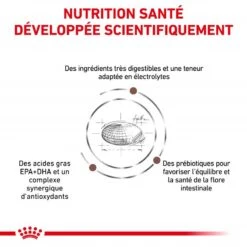 ROYAL CANIN Dog Gastro Intestinal -Vetoavenue royal canin dog gastro intestinal 2