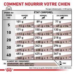 ROYAL CANIN Dog Gastro Intestinal -Vetoavenue royal canin dog gastro intestinal 4