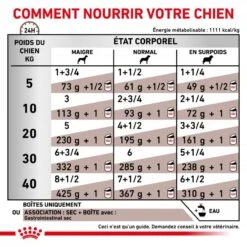 ROYAL CANIN Dog Gastro Intestinal Boîte -Vetoavenue royal canin dog gastro intestinal boite 2