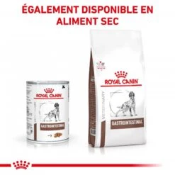 ROYAL CANIN Dog Gastro Intestinal Boîte -Vetoavenue royal canin dog gastro intestinal boite 6