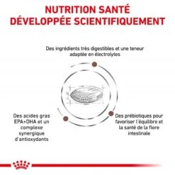 ROYAL CANIN Dog Gastro Intestinal Low Fat -Vetoavenue royal canin dog gastro intestinal low fat 2