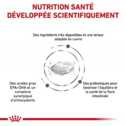 ROYAL CANIN Dog Hepatic -Vetoavenue royal canin dog hepatic 2