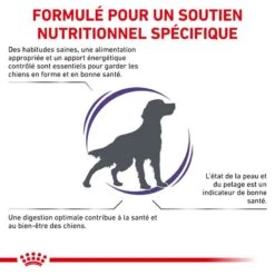 ROYAL CANIN Adult Medium Dog -Vetoavenue royal canin vet care nutrition adult 5