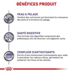 ROYAL CANIN Adult Medium Dog -Vetoavenue royal canin vet care nutrition adult 7