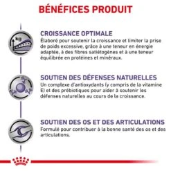 ROYAL CANIN Neutered Junior Large Dog 10 ROYAL CANIN Neutered Junior Large Dog -Vetoavenue royal canin vet care nutrition neutered junior large dog 3