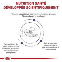 ROYAL CANIN Neutered Junior Large Dog 11 ROYAL CANIN Neutered Junior Large Dog -Vetoavenue royal canin vet care nutrition neutered junior large dog 4