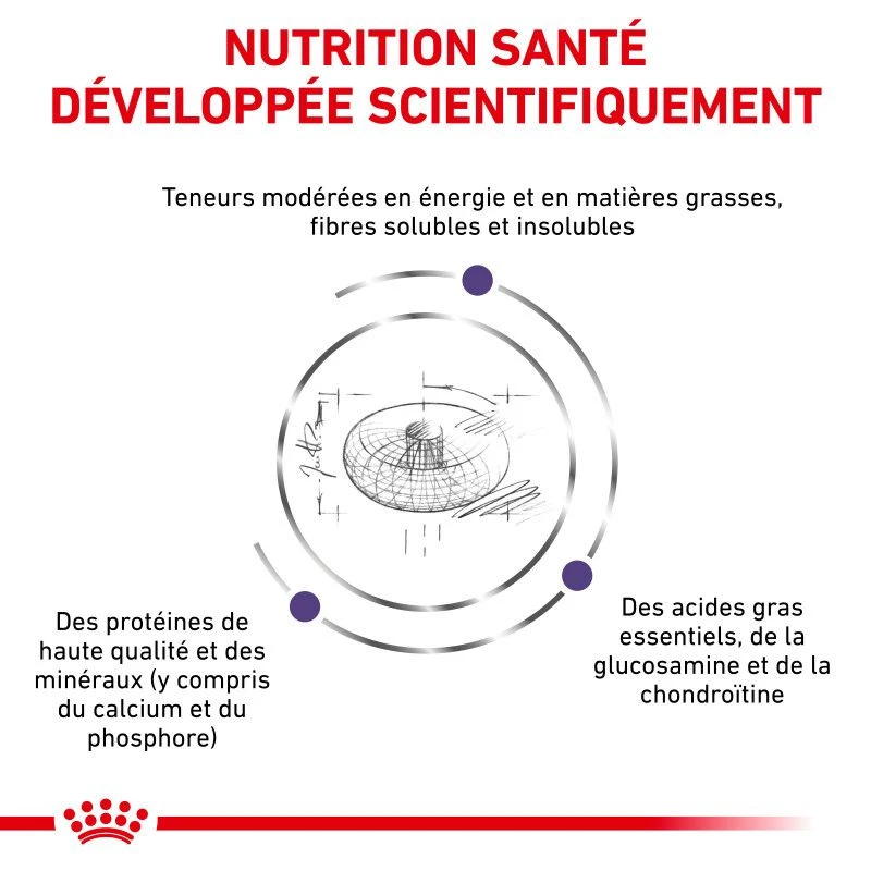 ROYAL CANIN Neutered Junior Large Dog 5 ROYAL CANIN Neutered Junior Large Dog – Image 5