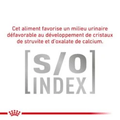 ROYAL CANIN Veterinary Health Nutrition Cat Diabetic 16 ROYAL CANIN Veterinary Health Nutrition Cat Diabetic -Vetoavenue royal canin veterinary diet cat diabetic 7