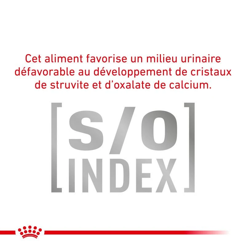 ROYAL CANIN Veterinary Health Nutrition Cat Diabetic 8 ROYAL CANIN Veterinary Health Nutrition Cat Diabetic – Image 8