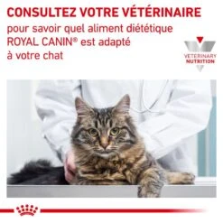 ROYAL CANIN Veterinary Health Nutrition Cat Diabetic 17 ROYAL CANIN Veterinary Health Nutrition Cat Diabetic -Vetoavenue royal canin veterinary diet cat diabetic 8