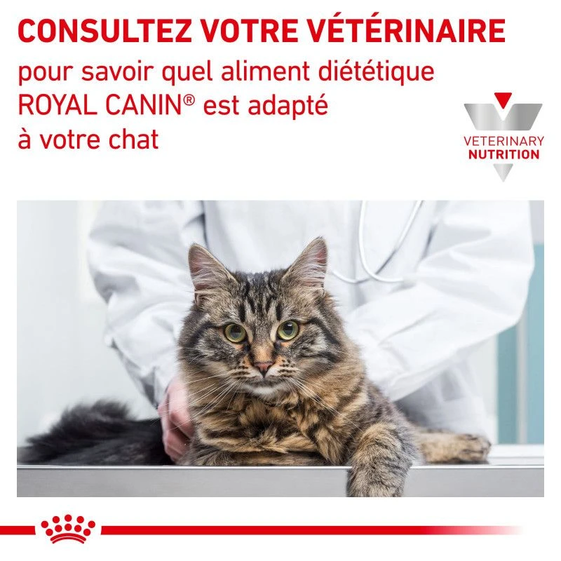 ROYAL CANIN Veterinary Health Nutrition Cat Diabetic 9 ROYAL CANIN Veterinary Health Nutrition Cat Diabetic – Image 9