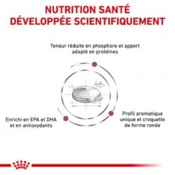ROYAL CANIN Veterinary Health Nutrition Cat Renal -Vetoavenue royal canin veterinary diet cat renal 2