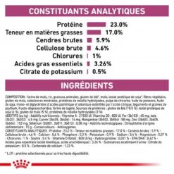 ROYAL CANIN Veterinary Health Nutrition Cat Renal -Vetoavenue royal canin veterinary diet cat renal 5