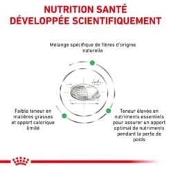 ROYAL CANIN Cat Satiety Weight Management -Vetoavenue royal canin veterinary diet cat satiety support 4