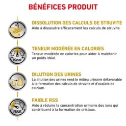 ROYAL CANIN Cat Urinary S/O Moderate Calorie -Vetoavenue royal canin veterinary diet cat urinary s o moderate calorie 2