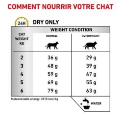 ROYAL CANIN Cat Urinary S/O Moderate Calorie -Vetoavenue royal canin veterinary diet cat urinary s o moderate calorie 3