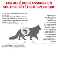 ROYAL CANIN Cat Urinary S/O Moderate Calorie -Vetoavenue royal canin veterinary diet cat urinary s o moderate calorie 7