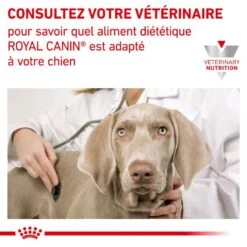 ROYAL CANIN Veterinary Health Nutrition Dog Diabetic 11 ROYAL CANIN Veterinary Health Nutrition Dog Diabetic -Vetoavenue royal canin veterinary diet dog diabetic 3