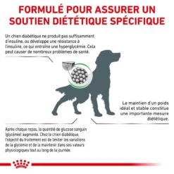ROYAL CANIN Veterinary Health Nutrition Dog Diabetic 12 ROYAL CANIN Veterinary Health Nutrition Dog Diabetic -Vetoavenue royal canin veterinary diet dog diabetic 4