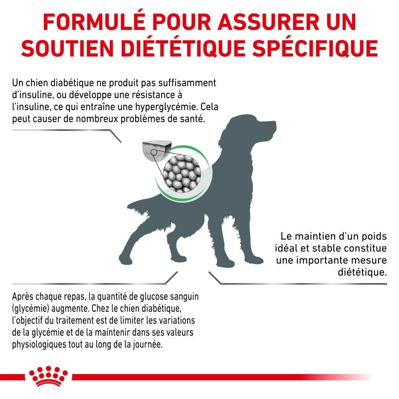 ROYAL CANIN Veterinary Health Nutrition Dog Diabetic 5 ROYAL CANIN Veterinary Health Nutrition Dog Diabetic – Image 5