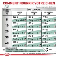 ROYAL CANIN Veterinary Health Nutrition Dog Diabetic 15 ROYAL CANIN Veterinary Health Nutrition Dog Diabetic -Vetoavenue royal canin veterinary diet dog diabetic 7