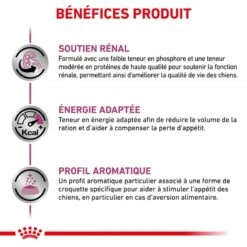 ROYAL CANIN Veterinary Health Nutrition Dog Renal -Vetoavenue royal canin veterinary diet dog renal 3