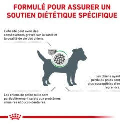 ROYAL CANIN Satiety Weight Management Small Dogs -Vetoavenue royal canin veterinary diet dog satiety small dog 5