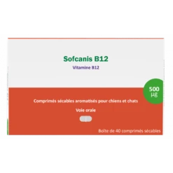 Sofcanis B12