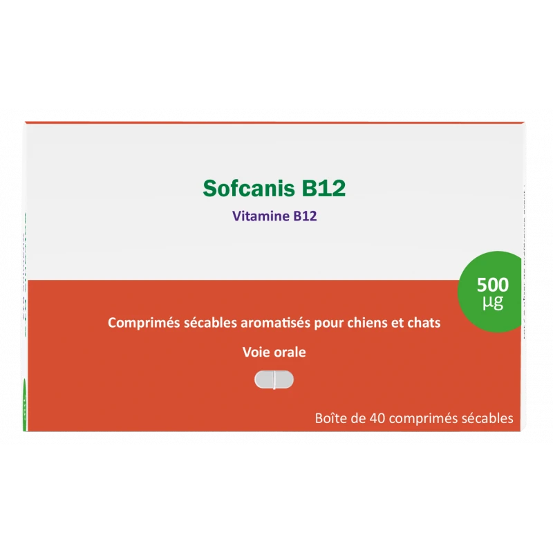 Sofcanis B12 1 Sofcanis B12