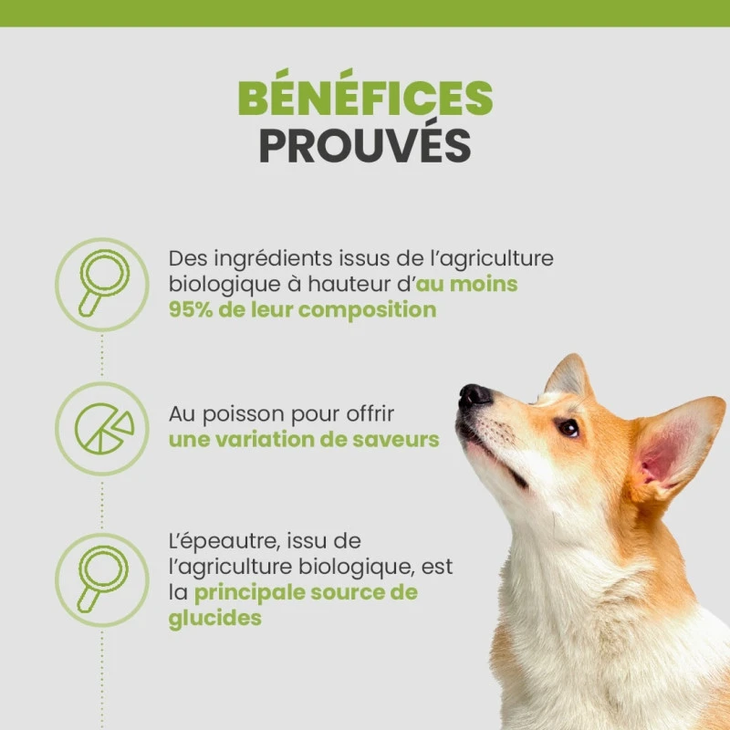 Specific C-BIO-W Organic Fish 3 Specific C-BIO-W Organic Fish – Image 3