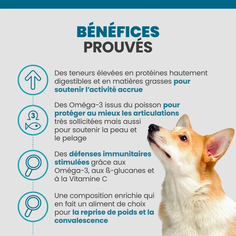 Specific CAD Active 3 Specific CAD Active – Image 3