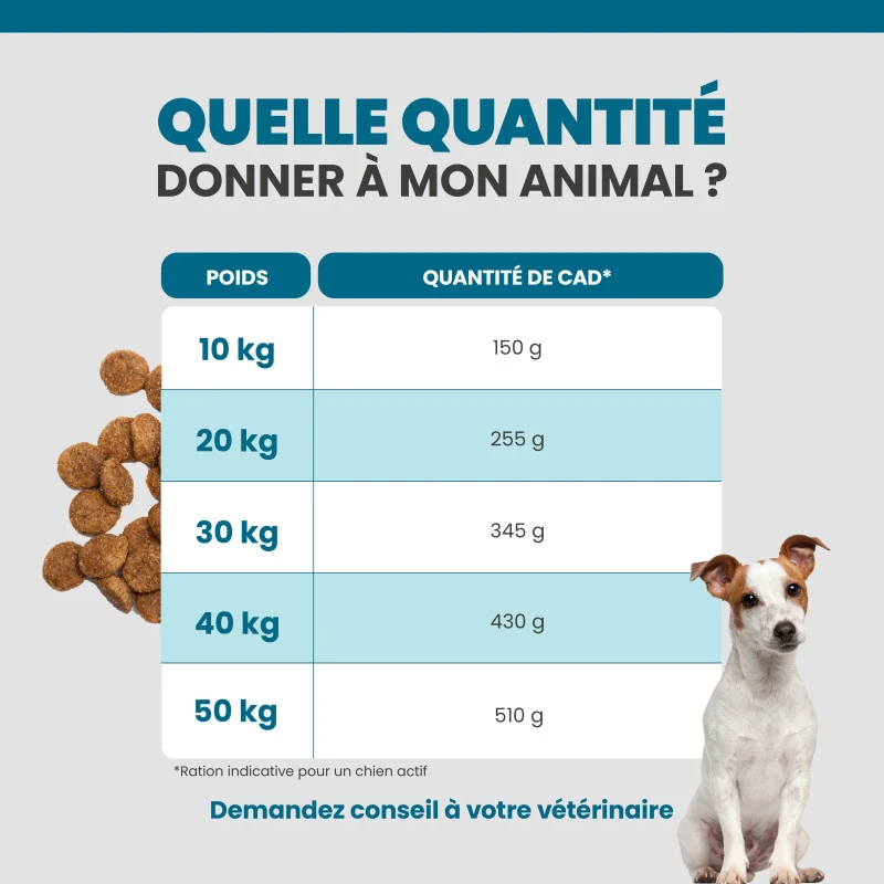 Specific CAD Active 8 Specific CAD Active – Image 8