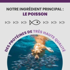 Specific CGD-M Senior Medium Breed -Vetoavenue specific cgd m senior medium breed 5