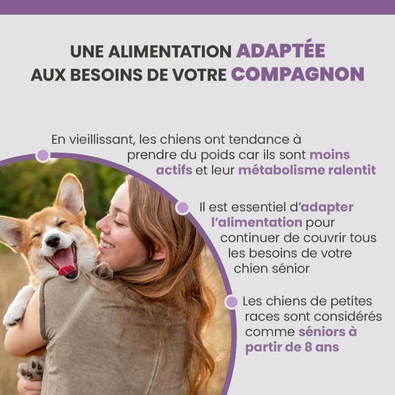 Specific CGD-S Senior Small Breed 4 Specific CGD-S Senior Small Breed – Image 4