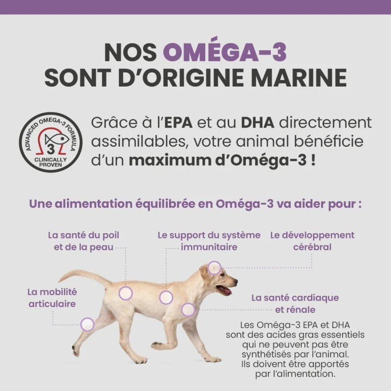 Specific CGD-S Senior Small Breed 9 Specific CGD-S Senior Small Breed – Image 9