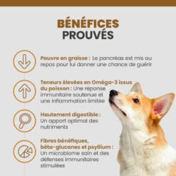 Specific CIW-LF Digestive Support Low Fat -Vetoavenue specific ciw lf digestive support low fat 3